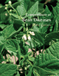 Compendium of Bean Diseases, Second Edition (  -   )